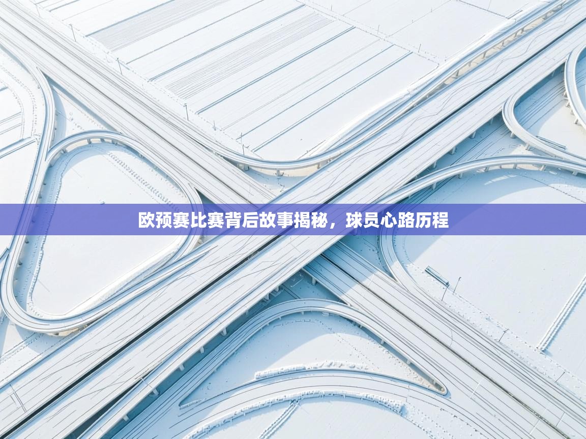 欧预赛比赛背后故事揭秘，球员心路历程  第2张