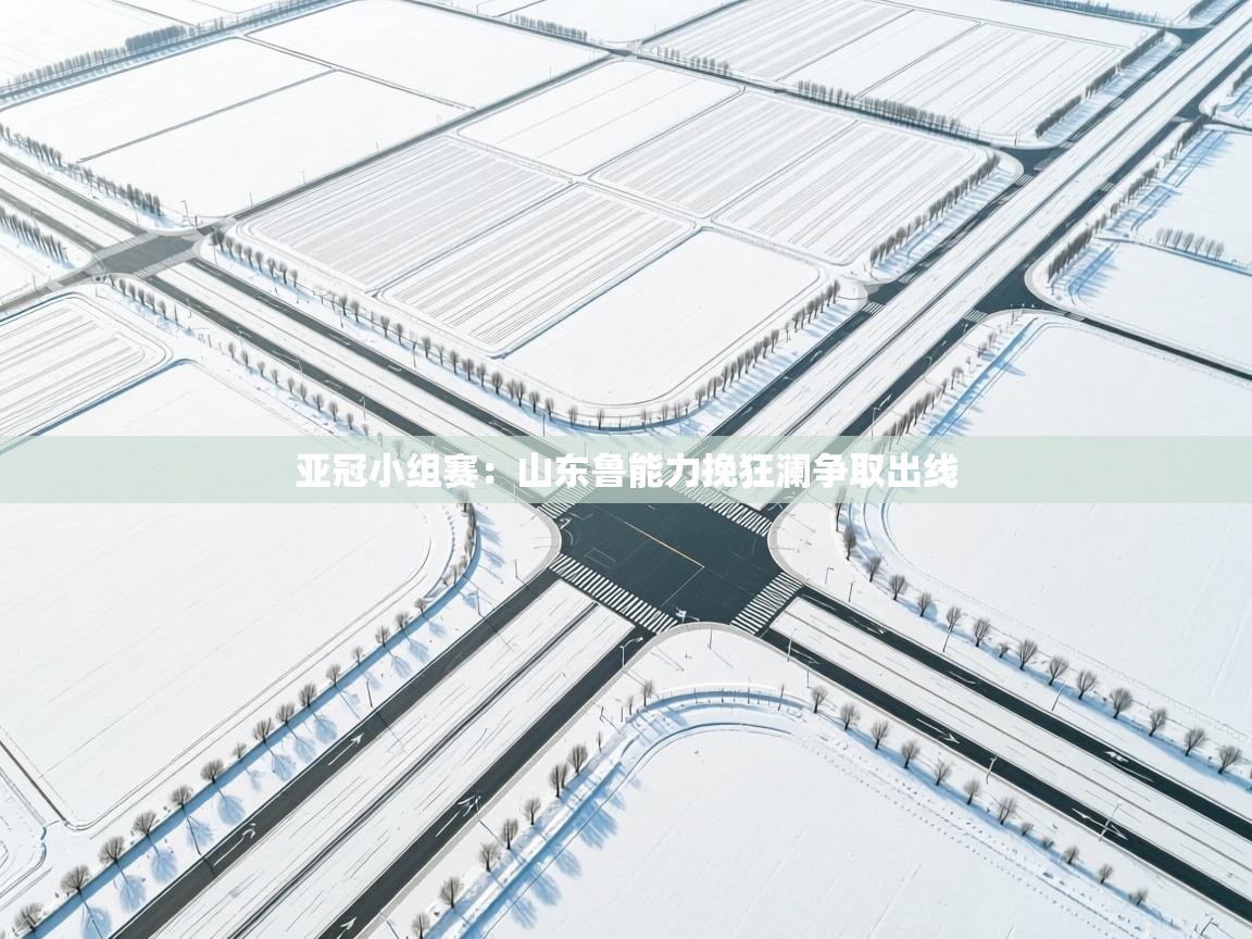 亚冠小组赛：山东鲁能力挽狂澜争取出线