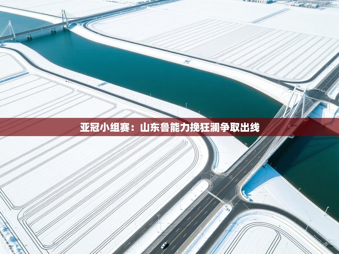 亚冠小组赛:山东鲁能力挽狂澜争取出线 第2张