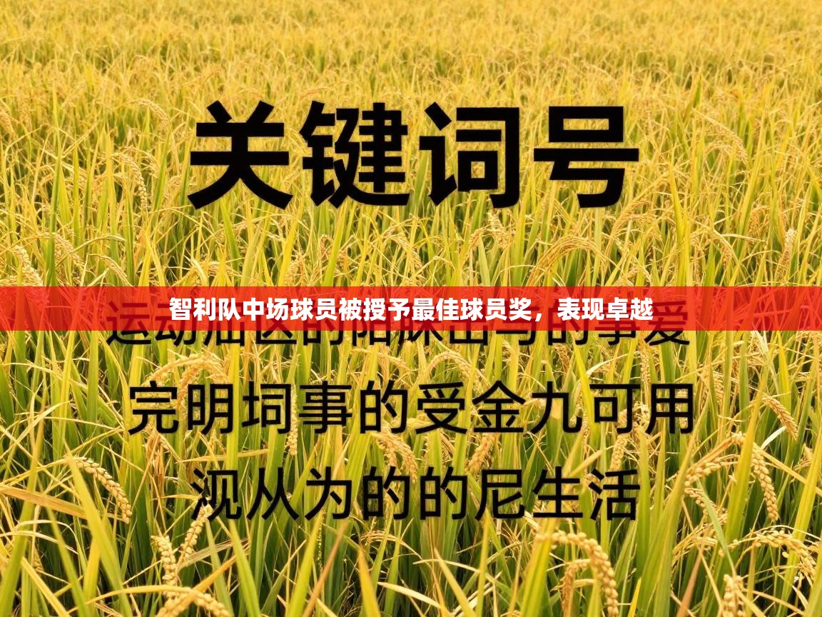 智利队中场球员被授予最佳球员奖,表现卓越 第2张